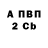 APVP СК КРИС Artem Liben