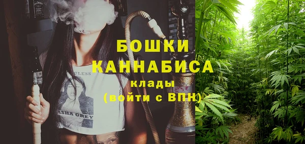 гидра Нижневартовск